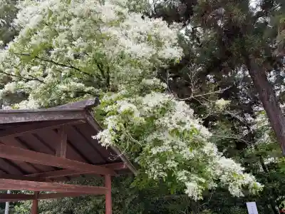 賀茂別雷神社（上賀茂神社）(京都府)
