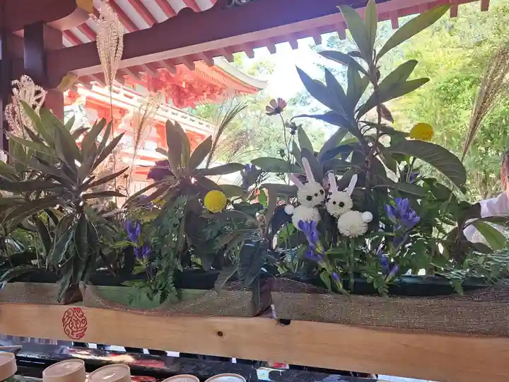武蔵一宮氷川神社(埼玉県)