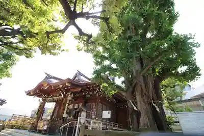 大鳥神社(東京都)