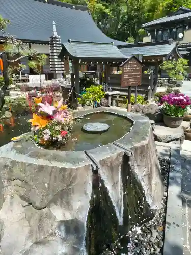 妙圓寺の{uncategorized: "未分類", other: "その他", undefined: "問題あり", building: "その他建物", grave: "お墓", sacred_gate: "鳥居", guardian: "狛犬", statue: "像", buddha: "仏像", history: "歴史", nature: "自然", garden: "庭園", animal: "動物", pagoda: "塔", temizu: "手水舎", mountain_gate: "山門・神門", sanctuary: "本殿・本堂", subordinate: "末社・摂社", art: "芸術", scenery: "景色", jizo: "地蔵", ema: "絵馬", goshuin: "御朱印", omikuji: "おみくじ", items: "授与品その他", amulet: "お守り", goshuincho: "御朱印帳", eats: "食事", festival: "お祭り", votive_dance: "神楽", shichigosan: "七五三参", wedding: "結婚式", experience: "体験その他", initially: "初詣", around: "周辺", anti_infection: "感染症対策"}