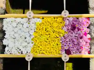 土津神社|こどもと出世の神さまの手水舎(2022年09月29日(木) 09時51分29秒投稿)