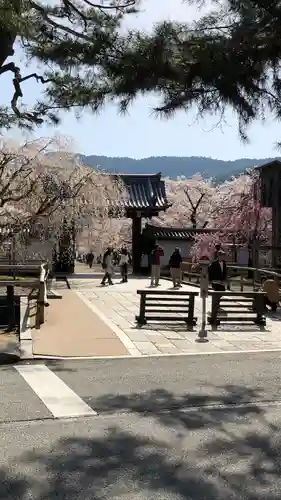 醍醐寺の山門・神門