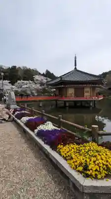 安倍文殊院 (奈良県)