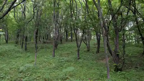 新得神社の自然