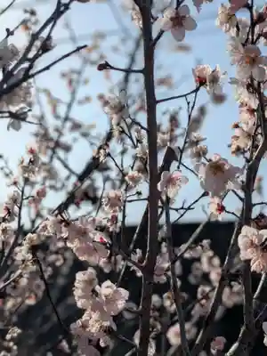 安楽寺(三重県)