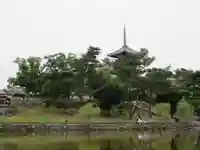 興福寺(奈良県)