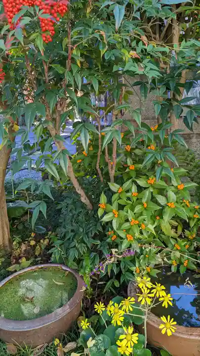 西雲院(京都府)