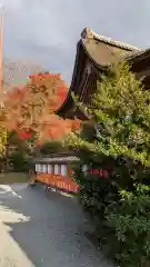 宇治神社(京都府)