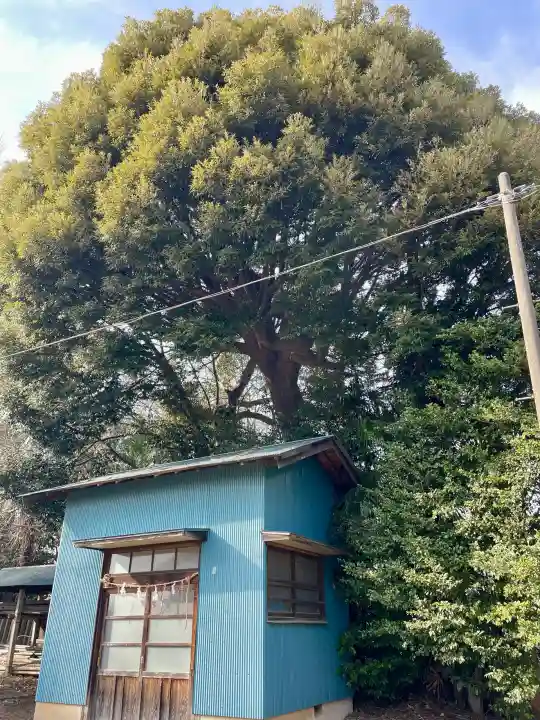 紙敷胡録神社の{uncategorized: "未分類", other: "その他", undefined: "問題あり", building: "その他建物", grave: "お墓", sacred_gate: "鳥居", guardian: "狛犬", statue: "像", buddha: "仏像", history: "歴史", nature: "自然", garden: "庭園", animal: "動物", pagoda: "塔", temizu: "手水舎", mountain_gate: "山門・神門", sanctuary: "本殿・本堂", subordinate: "末社・摂社", art: "芸術", scenery: "景色", jizo: "地蔵", ema: "絵馬", goshuin: "御朱印", omikuji: "おみくじ", items: "授与品その他", amulet: "お守り", goshuincho: "御朱印帳", eats: "食事", festival: "お祭り", votive_dance: "神楽", shichigosan: "七五三参", wedding: "結婚式", experience: "体験その他", initially: "初詣", around: "周辺", anti_infection: "感染症対策"}