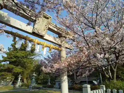 白山神社の鳥居