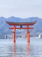 厳島神社(広島県)