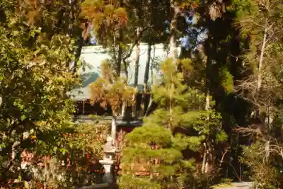 赤山禅院(京都府)