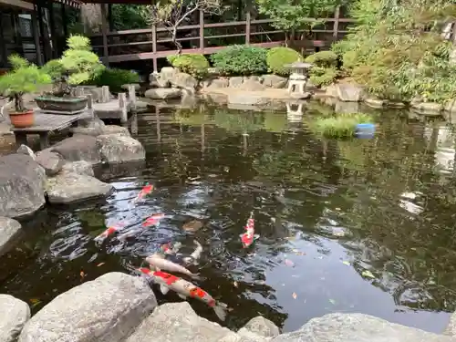 白峰寺の庭園