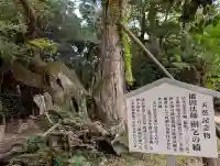 大山祇神社(愛媛県)