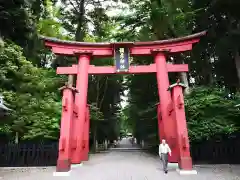 彌彦神社の鳥居