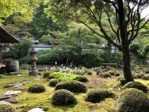 金剛寺の庭園