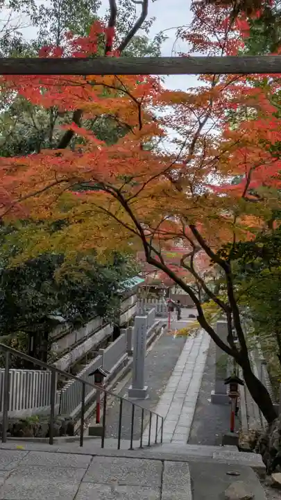 長岡天満宮(京都府)