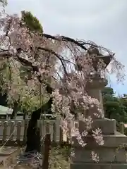 弓弦羽神社の自然