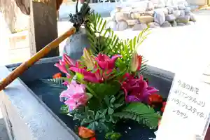 三津厳島神社の手水舎(2021年05月31日(月) 15時44分36秒投稿)