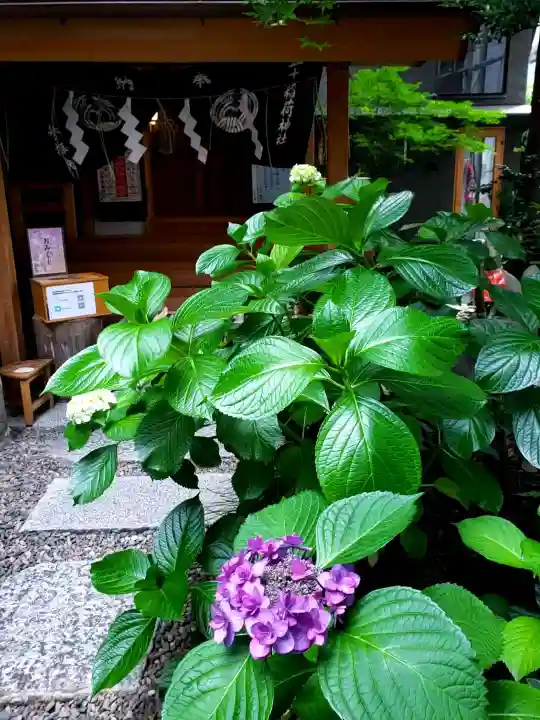 五十稲荷神社(栄寿稲荷神社)(東京都)