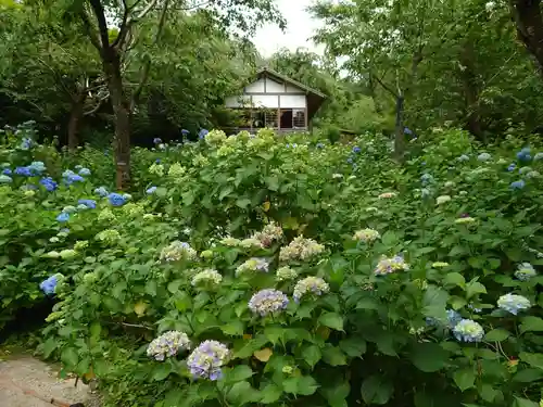 三千院門跡の自然