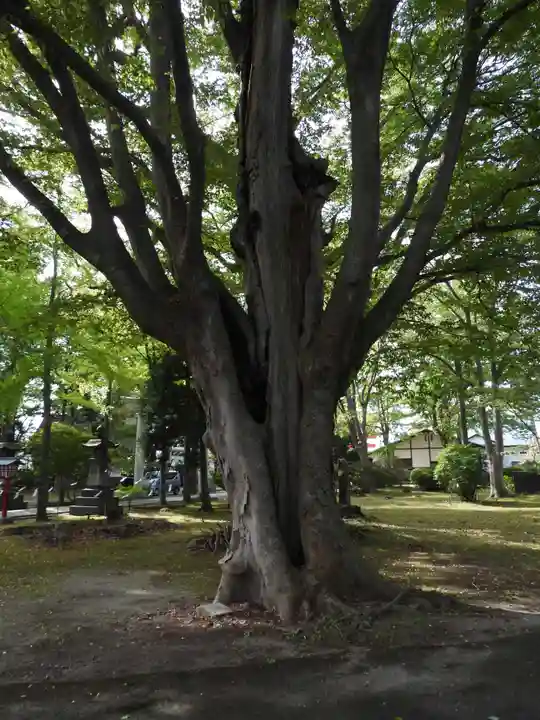 日吉神社(秋田県)