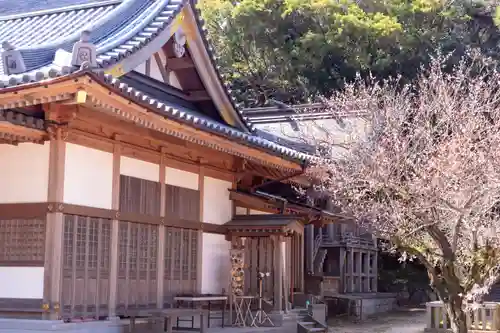 深江神社(福岡県)