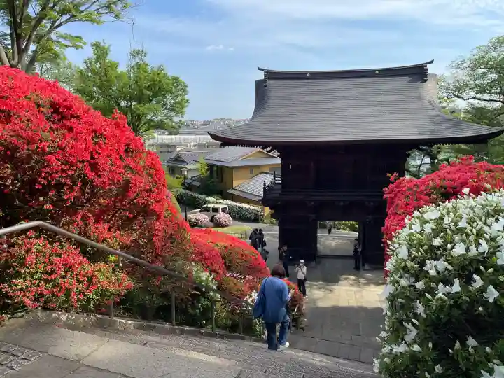 等覚院(神奈川県)