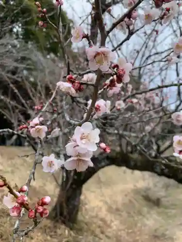 壽命院 永徳寺(栃木県)