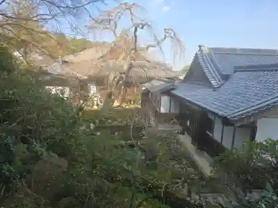 當麻寺 護念院(奈良県)