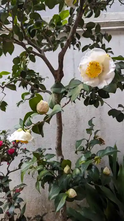 誓願寺(京都府)