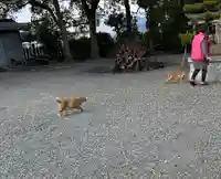 大年神社(兵庫県)