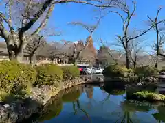 富士山本宮浅間大社(静岡県)