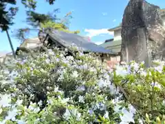 裏木神社の自然