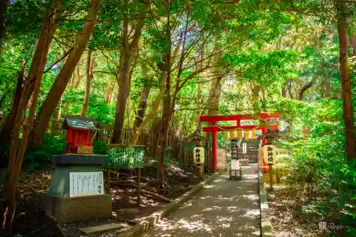 伊古奈比咩命神社(静岡県)