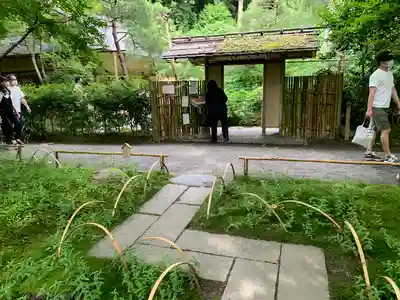 明月院(神奈川県)