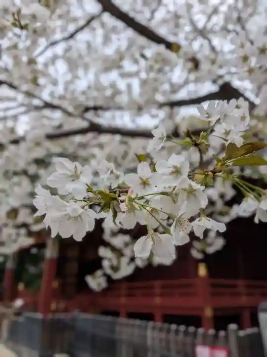 金王八幡宮(東京都)