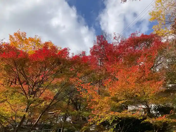 大洞院(静岡県)