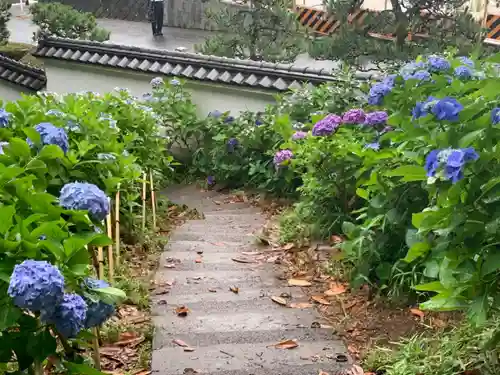 妙楽寺の庭園