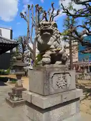 竹塚神社の狛犬