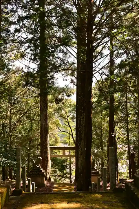 八幡神社(渋草)(愛媛県)
