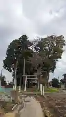 酒門神社(茨城県)