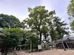 櫛玉比女命神社(奈良県)