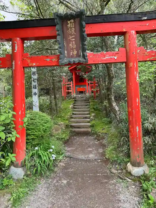 箱根神社(神奈川県)