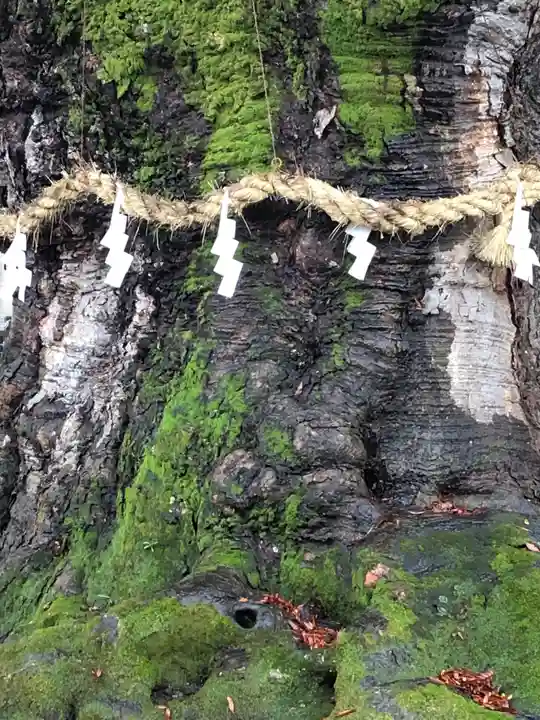 秩父今宮神社の自然