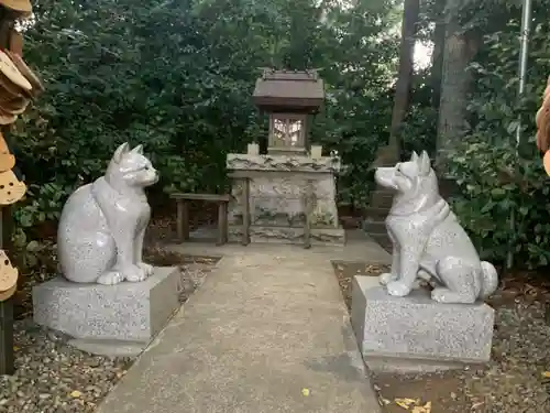 座間神社の狛犬