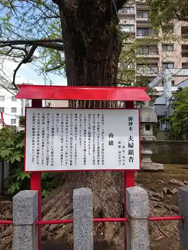 久留米宗社　日吉神社の歴史