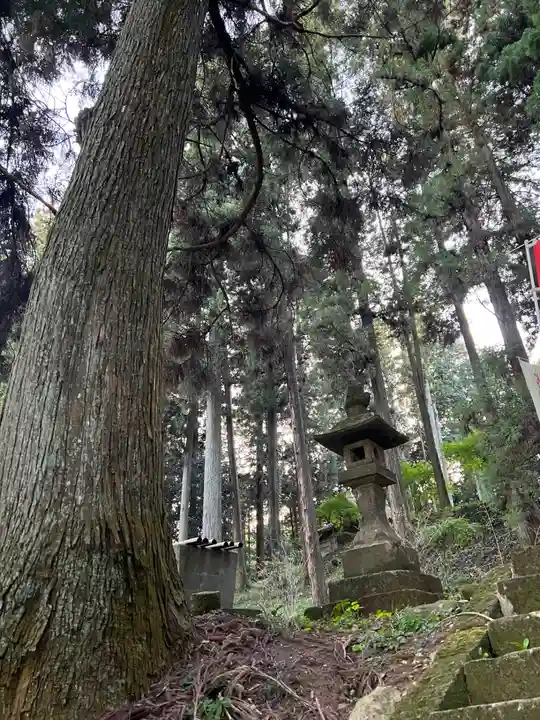 大宮温泉神社(栃木県)