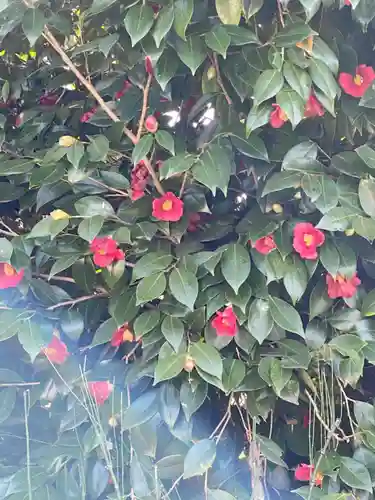 南明禪院（南明院）の自然