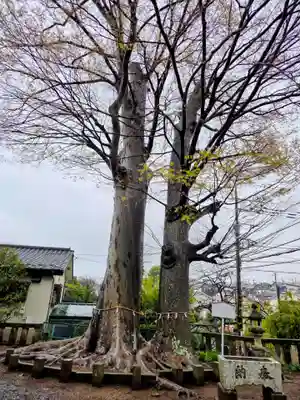 春日神社(東京都)